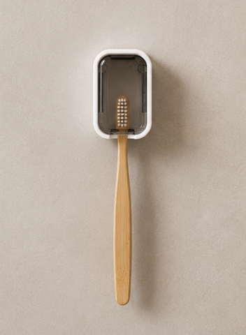Toothbrush Holder